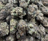 arshmallow Gelato 👻👻👻 