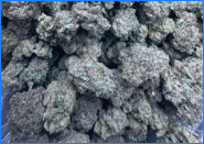 Space Sherbet   👽🍦