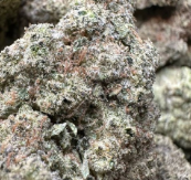 Lemon cake 🍋🍰