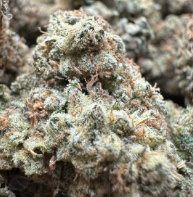 Sour Melon 🍈🍈🍈