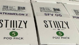 5 stiiizy disty