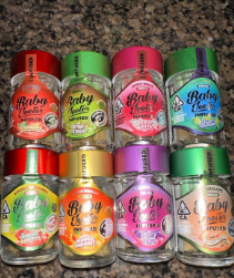 BABY JEETERS (5 pack)